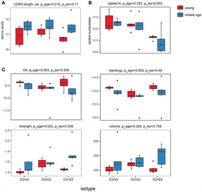 Comparative Analysis of B-Cell Receptor Repertoires Induced by Live <mark class="highlighted">Yellow Fever</mark> Vaccine in Young and Middle-Age Donors